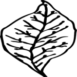 Leaf 044