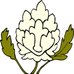 Lotus Flower 1