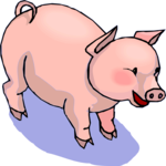 Pig 28