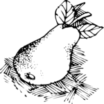 Pear 19 Clip Art