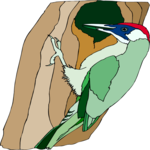 Woodpecker 14 Clip Art