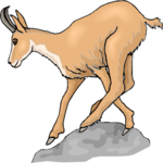 Antelope - Pronghorn 3 Clip Art