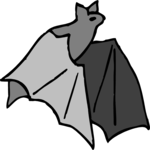 Bat 05