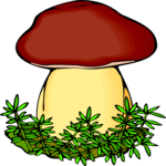 Mushroom 16
