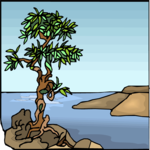 Tree 151 Clip Art