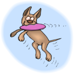 Dog Catching Flying Disc