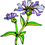 Cornflower 4 Clip Art