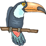 Toucan 12 Clip Art