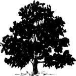 Tree 110 Clip Art