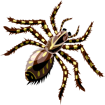 Tarantula 3 Clip Art