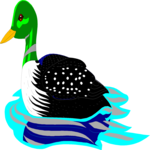 Loon 1 Clip Art