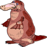 Platypus 4 Clip Art