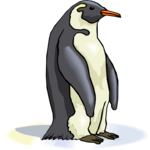 Penguin 13 Clip Art