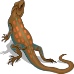 Lizard 36 Clip Art