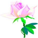 Rose 40 Clip Art