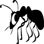 Ant 08 Clip Art