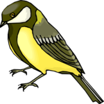 Goldfinch 4 Clip Art