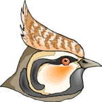 Oriole 4 Clip Art