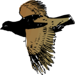 Bird 011 Clip Art