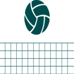 Volleyball & Net