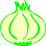 Onion 16