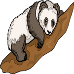 Panda 09 Clip Art