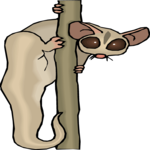 Cuscus 2 Clip Art