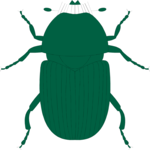 Beetle 05 Clip Art