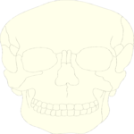 Skull 07 Clip Art