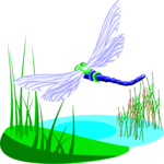 Dragonfly 09 Clip Art