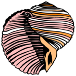 Sea Shell 25 Clip Art