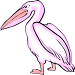Pelican 05 Clip Art