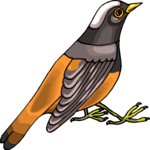 Bird Perched 53 Clip Art