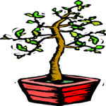 Tree - Potted Clip Art