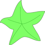 Starfish 02 Clip Art
