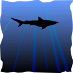 Shark - Graphic Clip Art