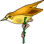 Bird Perched 49 Clip Art