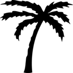 Palm Tree 02