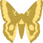 Moth 01 Clip Art
