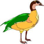 Duck 60 Clip Art