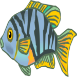 Cichlid - Convict Female