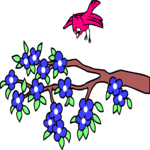 Bird Landing on Branch