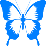 Butterfly 1