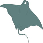 Manta Ray 2 Clip Art