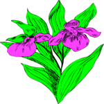 Flowers 364 Clip Art