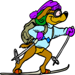 Skier - Cross Country 2