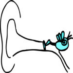 Bird in Ear Canal