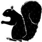 Squirrel 3