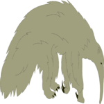 Anteater 1