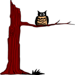 Owl in Tree 2